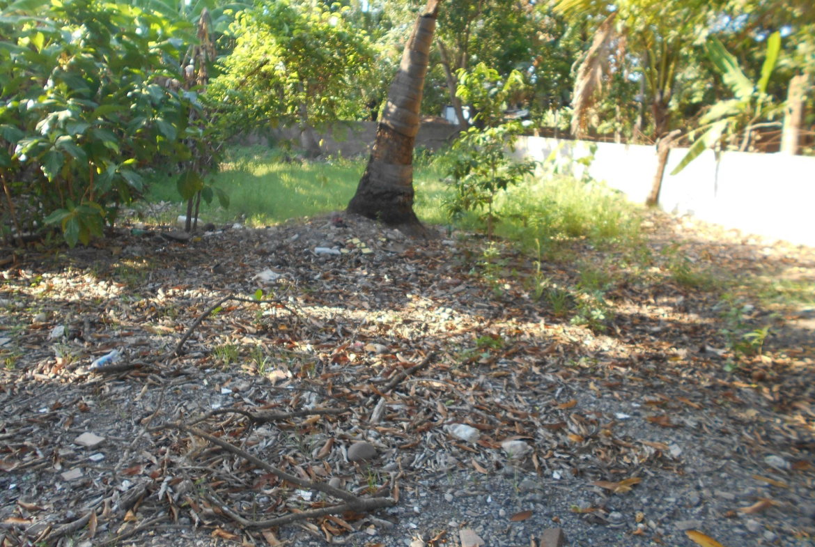 Sixth image of Lot 74 South Street Amity Hall in Lionel Town, Clarendon, Jamaica - property is For Sale