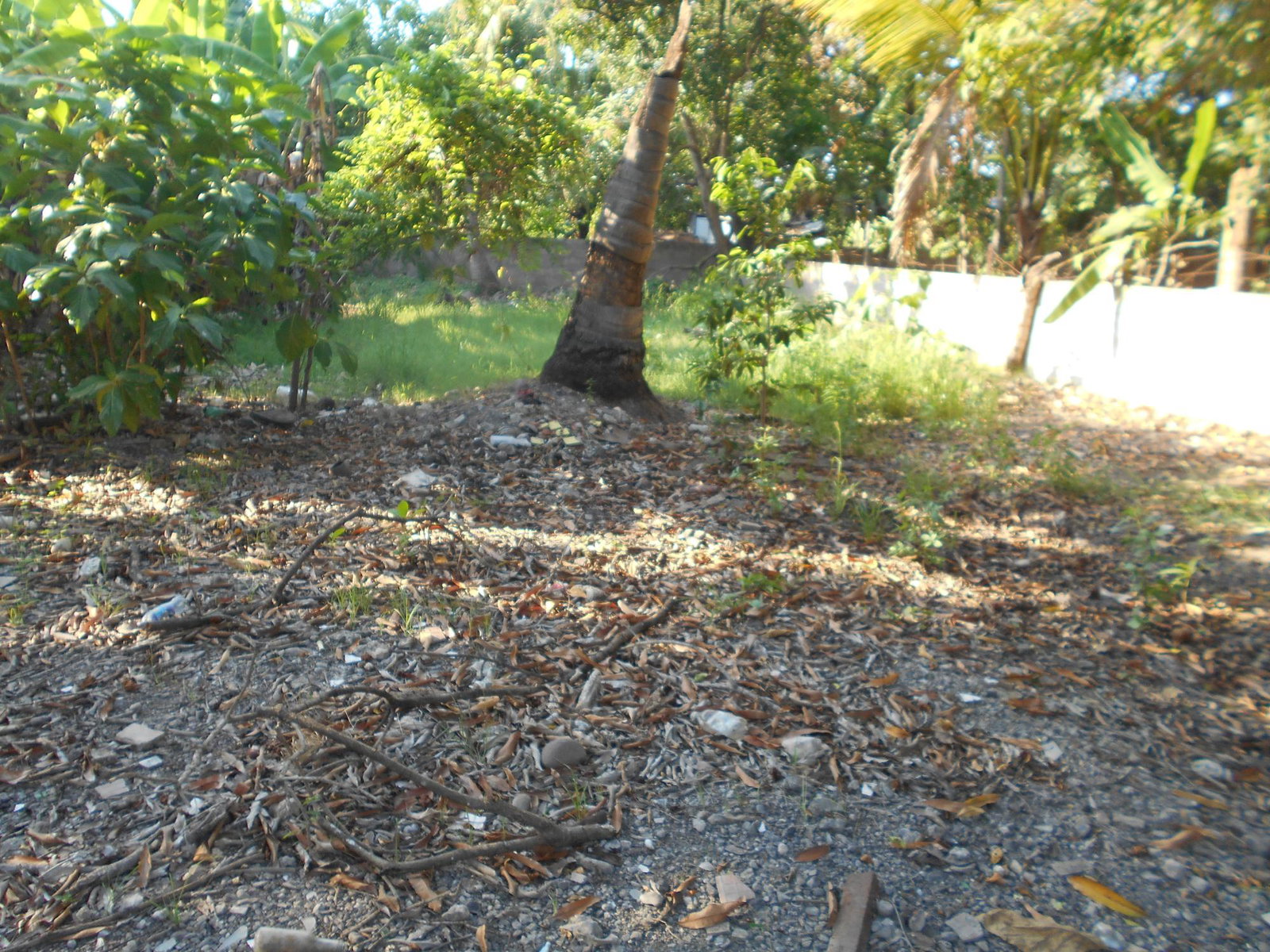 Sixth image of Lot 74 South Street Amity Hall in Lionel Town, Clarendon, Jamaica - property is For Sale