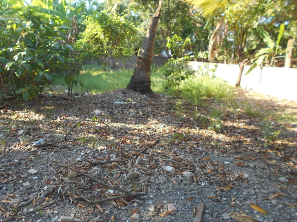 Sixth image of Lot 74 South Street Amity Hall in Lionel Town, Clarendon, Jamaica - property is For Sale