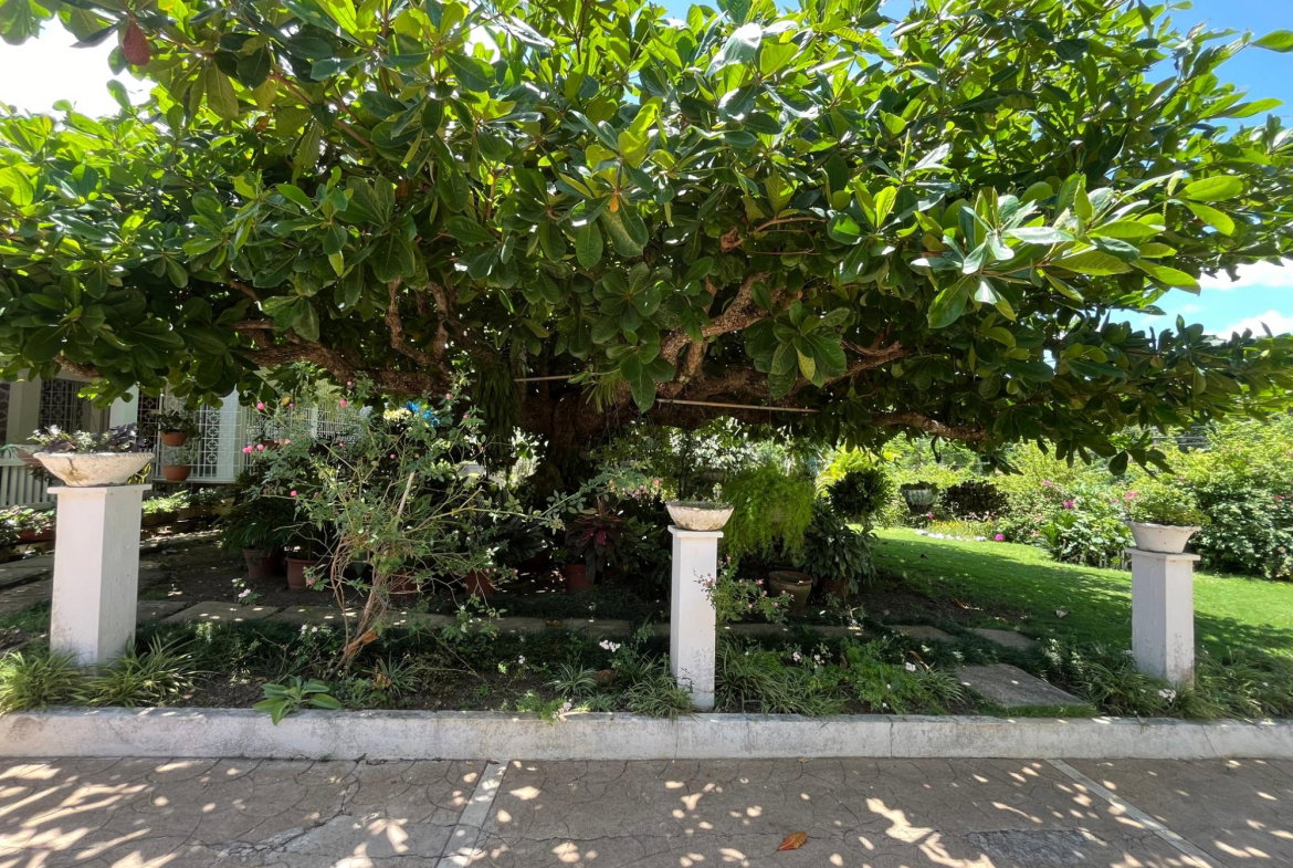 First image of 104 Park Lane in Ocho Rios, St. Ann, Jamaica - property is For Sale