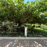 First image of 104 Park Lane in Ocho Rios, St. Ann, Jamaica - property is For Sale