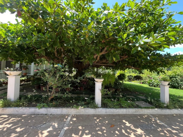 First image of 104 Park Lane in Ocho Rios, St. Ann, Jamaica - property is For Sale