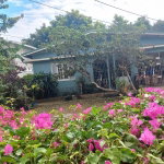 First image of 11 Sandy Park rd in Kingston 6, St. Andrew, Jamaica - property is For Sale