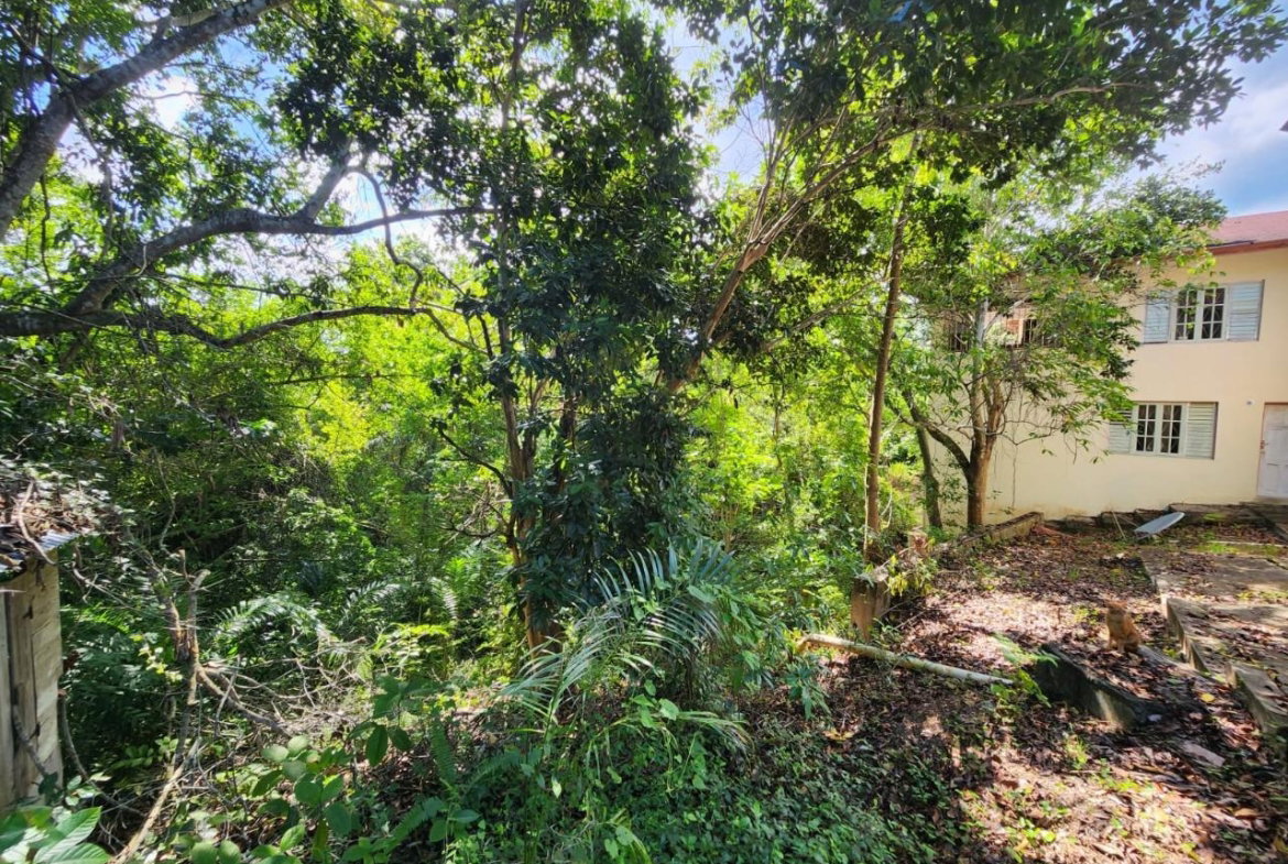Thirteenth image of 15 Ballards Valley in Ballards Valley, St. Mary, Jamaica - property is For Sale