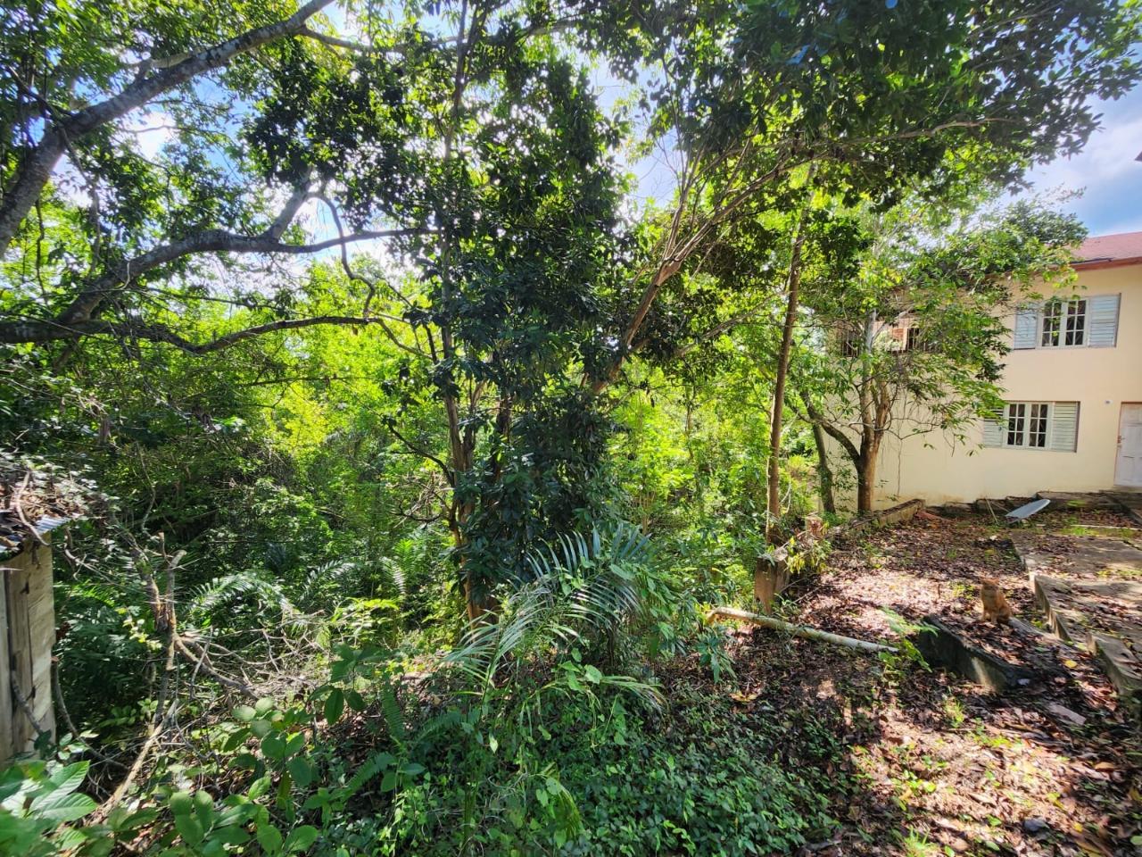 Thirteenth image of 15 Ballards Valley in Ballards Valley, St. Mary, Jamaica - property is For Sale