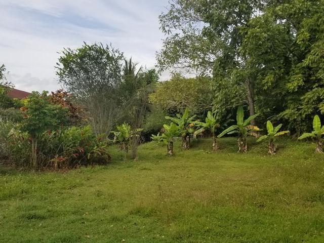 Seventh image of 15 Ballards Valley in Ballards Valley, St. Mary, Jamaica - property is For Sale