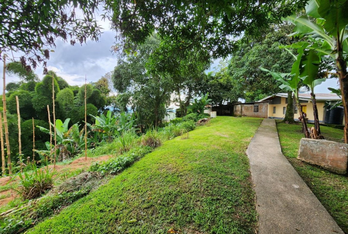 Third image of Baillieston Clarendon in Baillieston, Clarendon, Jamaica - property is For Sale