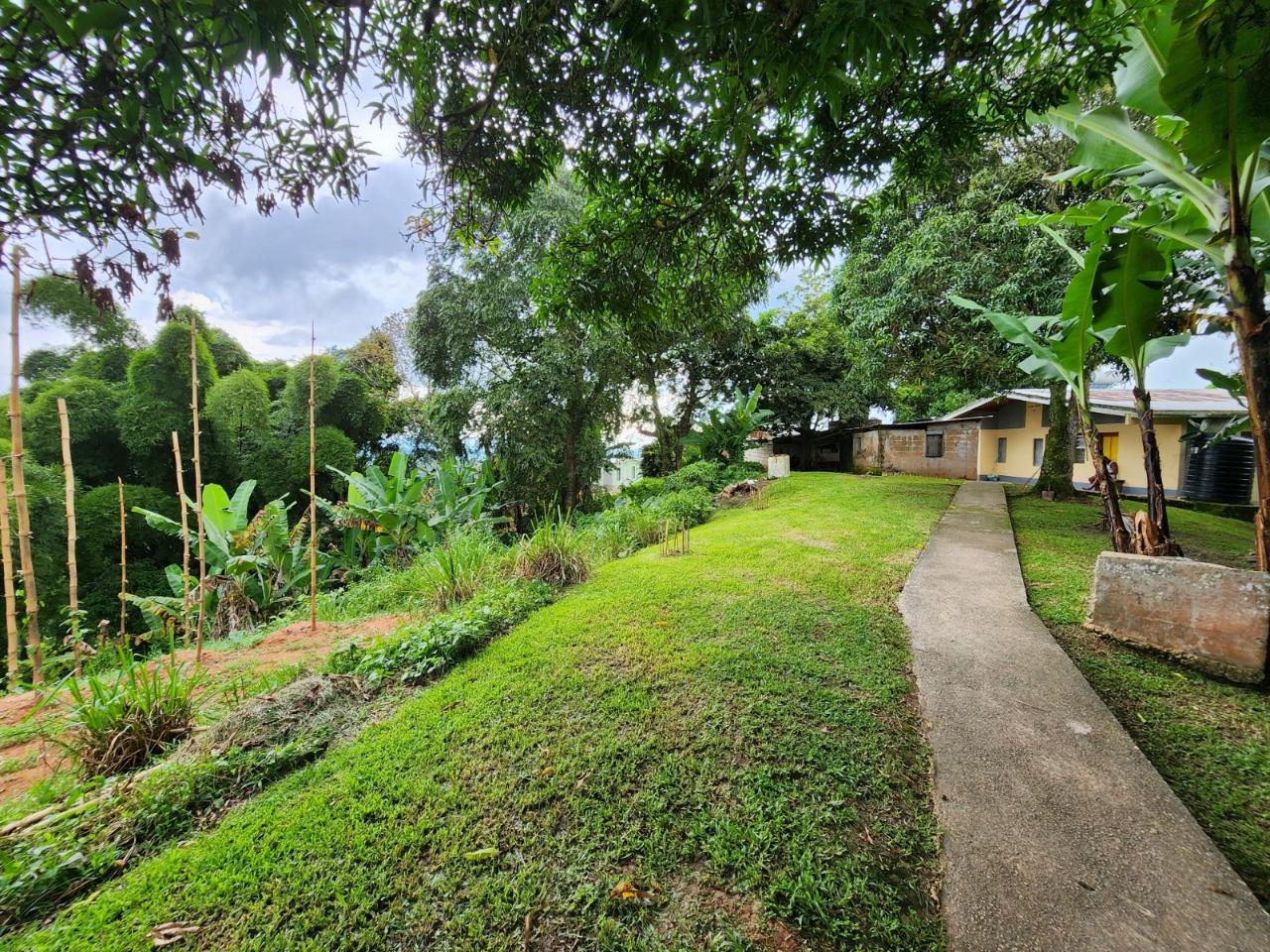 Third image of Baillieston Clarendon in Baillieston, Clarendon, Jamaica - property is For Sale