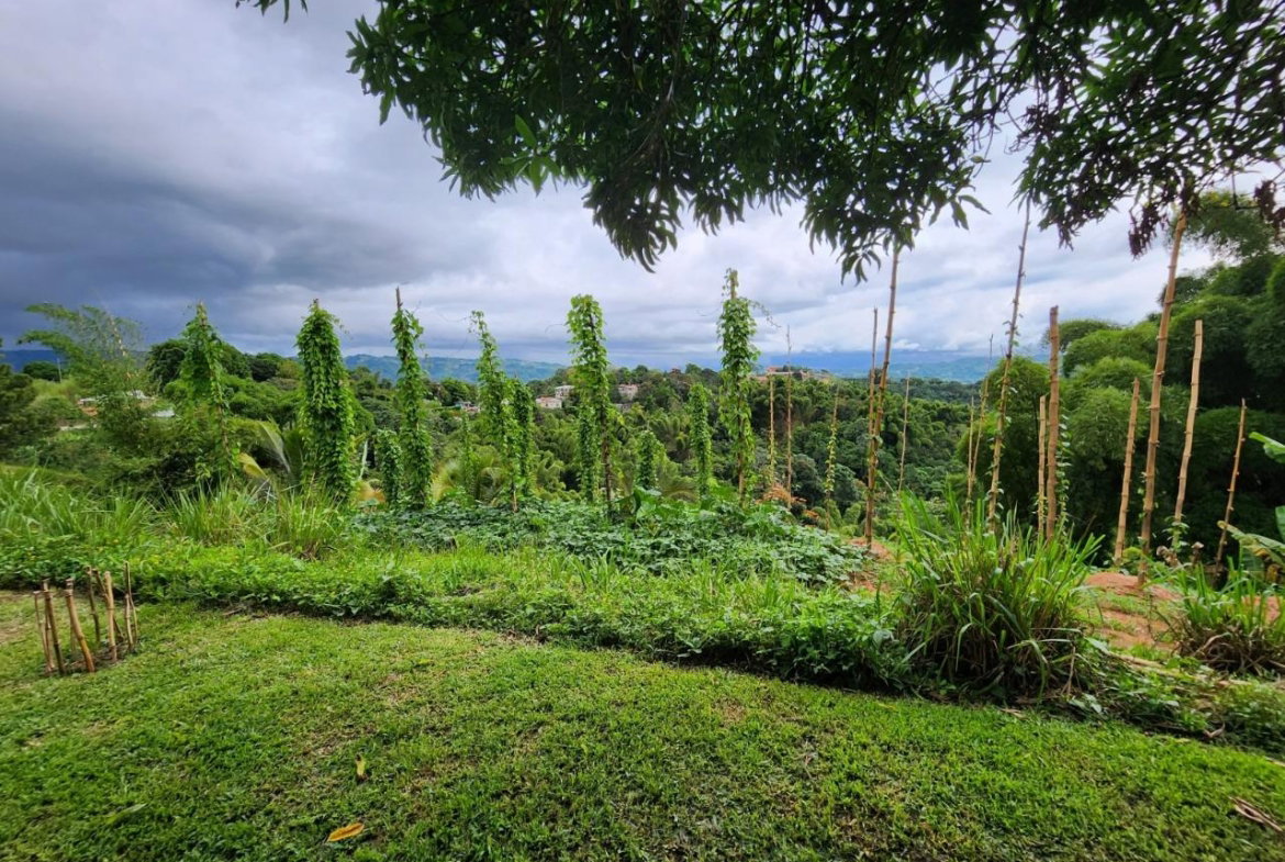 Fourth image of Baillieston Clarendon in Baillieston, Clarendon, Jamaica - property is For Sale