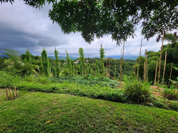 Fourth image of Baillieston Clarendon in Baillieston, Clarendon, Jamaica - property is For Sale