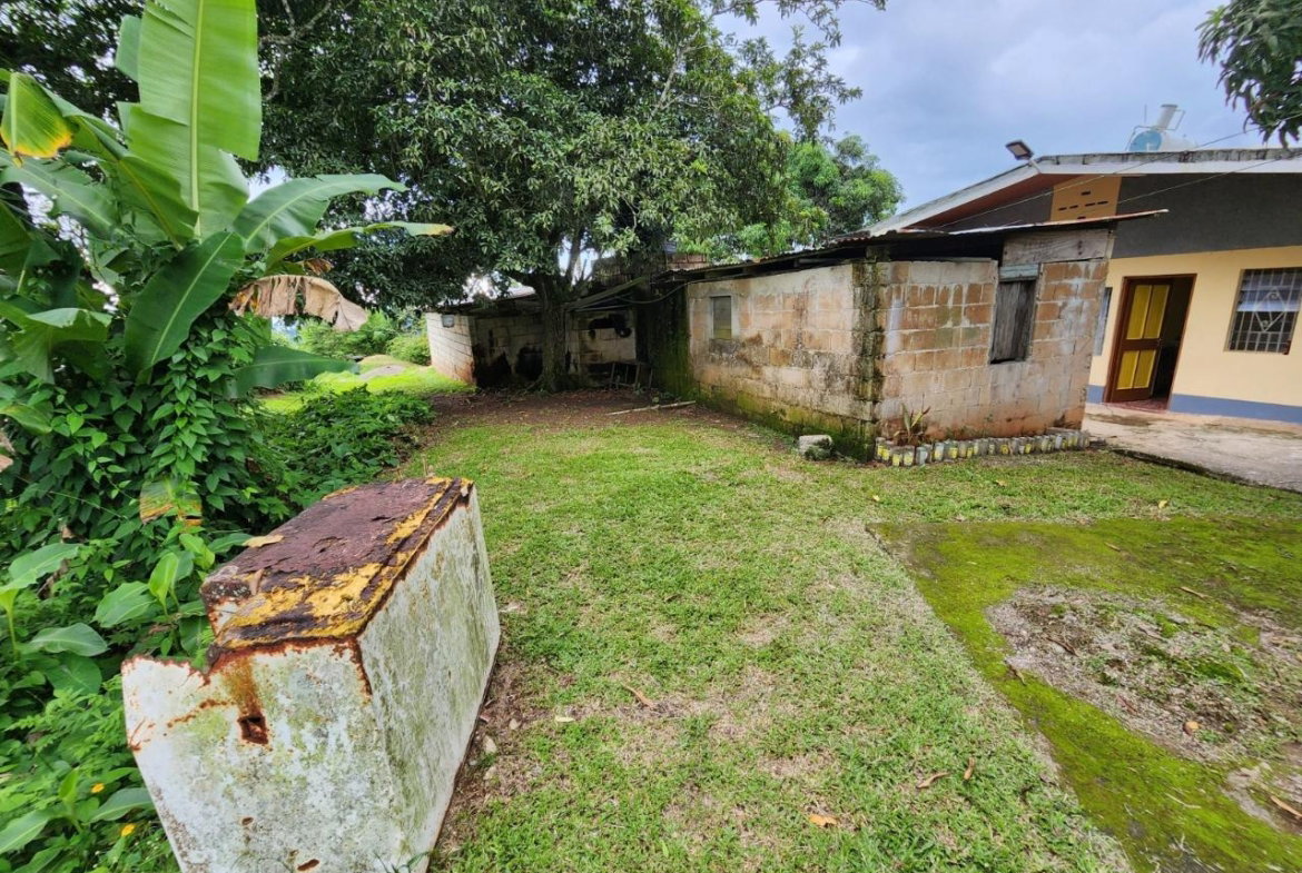 Sixth image of Baillieston Clarendon in Baillieston, Clarendon, Jamaica - property is For Sale