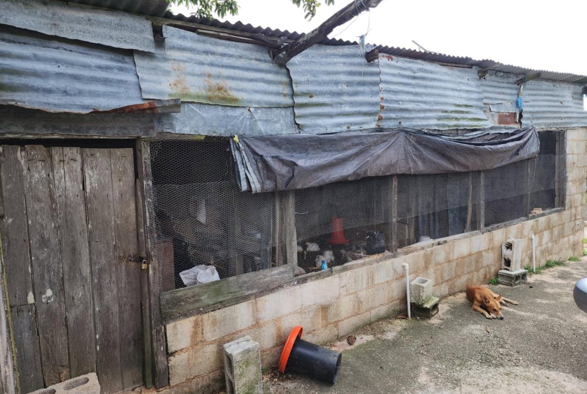 Eighth image of Baillieston Clarendon in Baillieston, Clarendon, Jamaica - property is For Sale