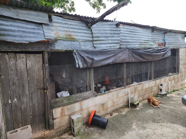 Eighth image of Baillieston Clarendon in Baillieston, Clarendon, Jamaica - property is For Sale