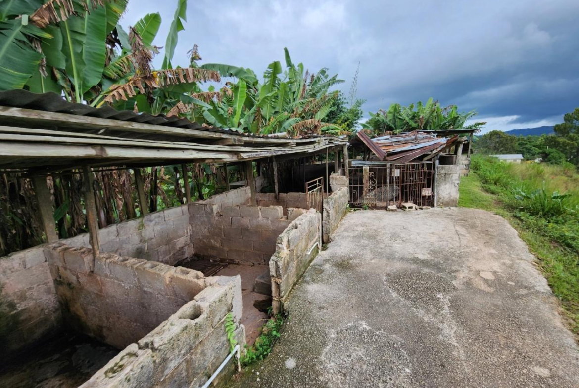 Ninth image of Baillieston Clarendon in Baillieston, Clarendon, Jamaica - property is For Sale
