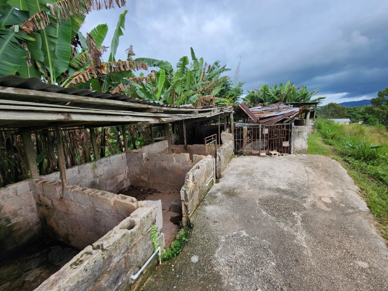 Ninth image of Baillieston Clarendon in Baillieston, Clarendon, Jamaica - property is For Sale