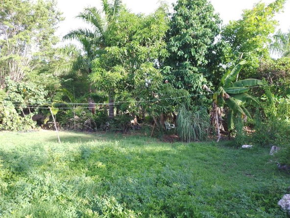 Sixteenth image of Greenwood in Montego Bay, St. James, Jamaica - property is For Sale