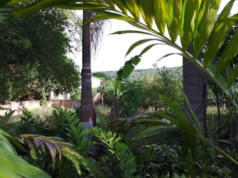Seventeenth image of Greenwood in Montego Bay, St. James, Jamaica - property is For Sale