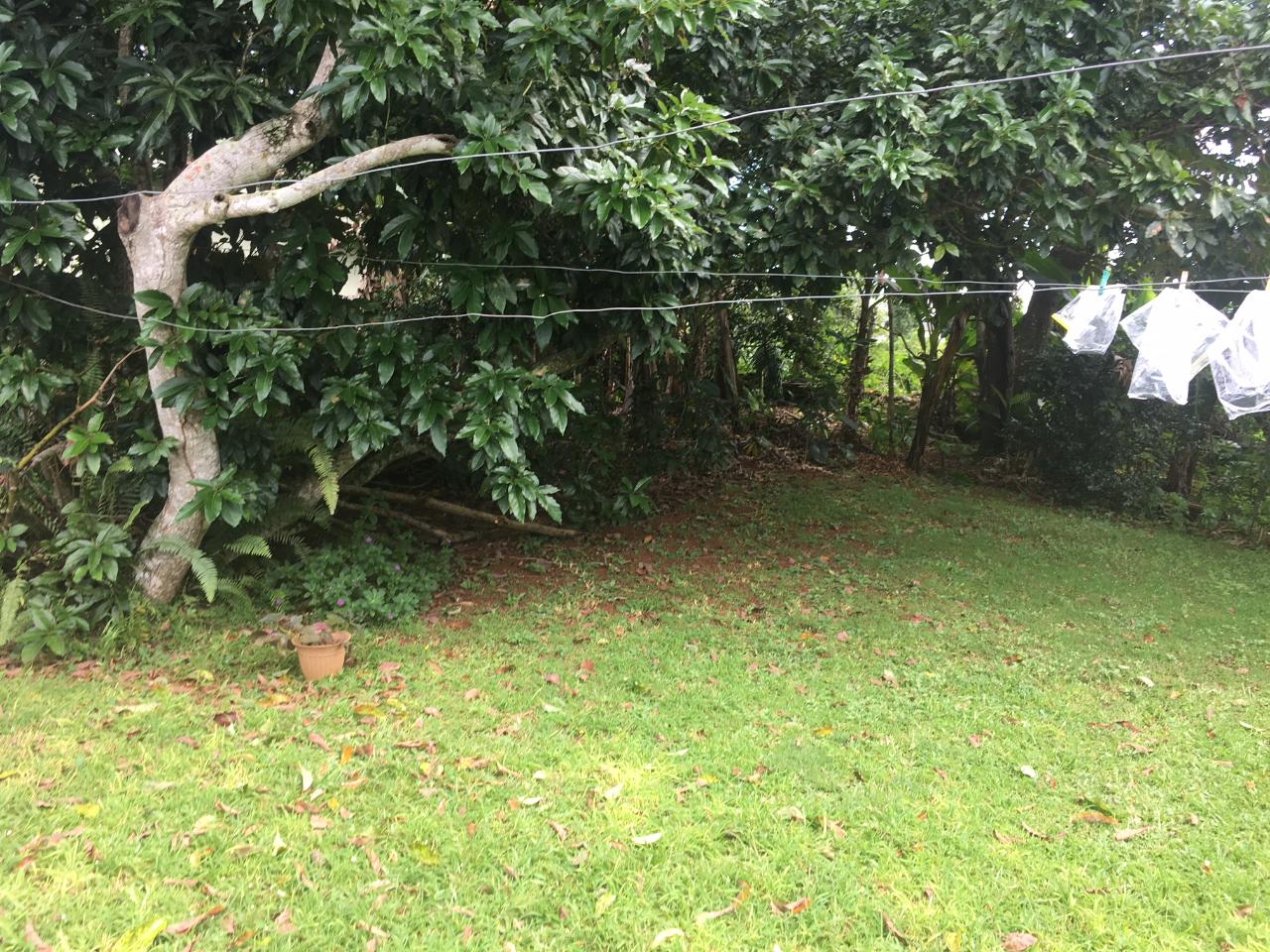 Second image of 64-28 Clover Way in Mandeville, Manchester, Jamaica - property is For Sale