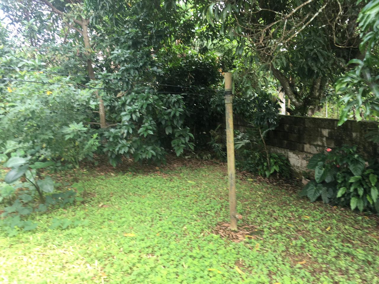 Fourth image of 64-28 Clover Way in Mandeville, Manchester, Jamaica - property is For Sale