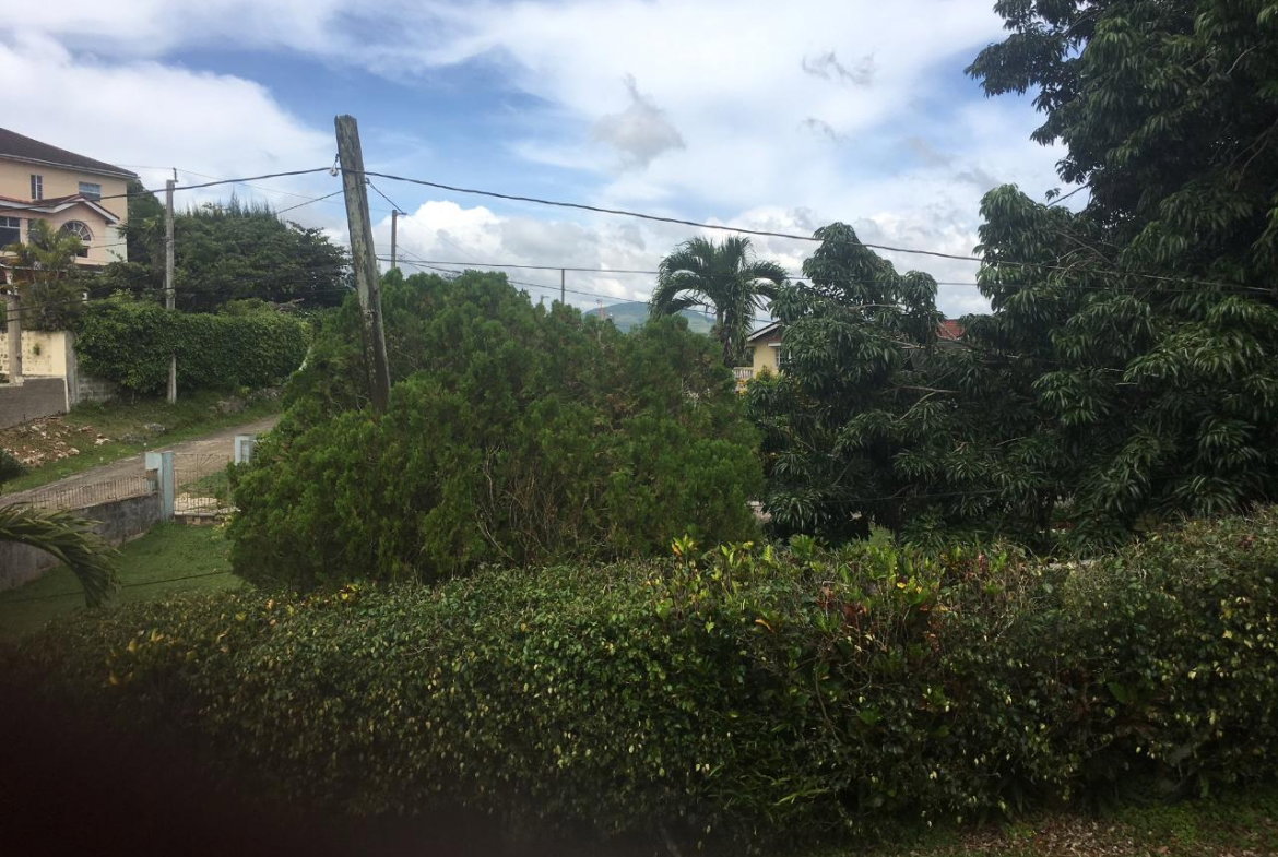 Fifth image of 64-28 Clover Way in Mandeville, Manchester, Jamaica - property is For Sale