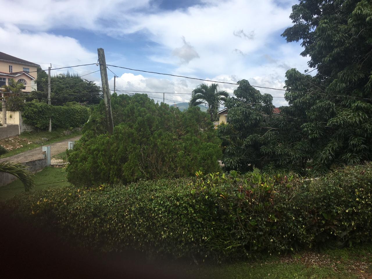 Fifth image of 64-28 Clover Way in Mandeville, Manchester, Jamaica - property is For Sale
