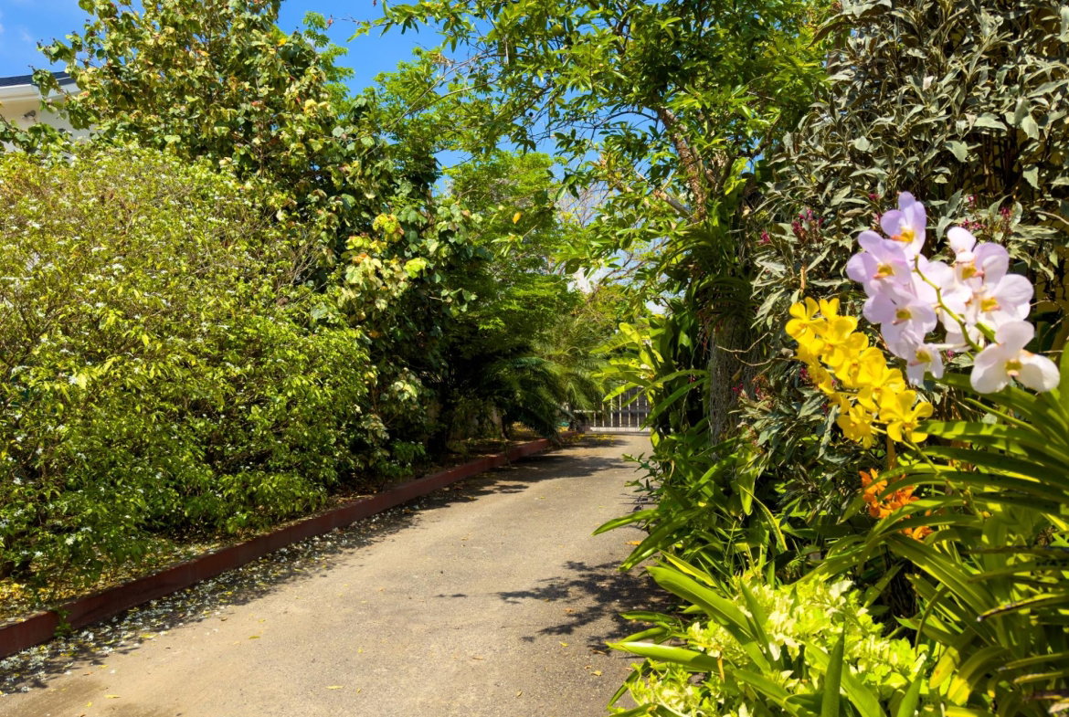 Fourth image of 17 Halifax Ave in Kingston 6, St. Andrew, Jamaica - property is For Sale