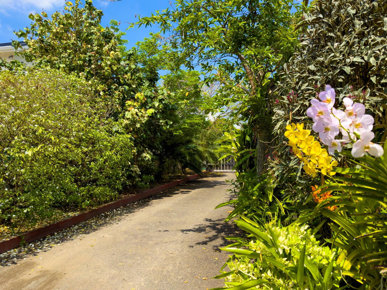 Fourth image of 17 Halifax Ave in Kingston 6, St. Andrew, Jamaica - property is For Sale