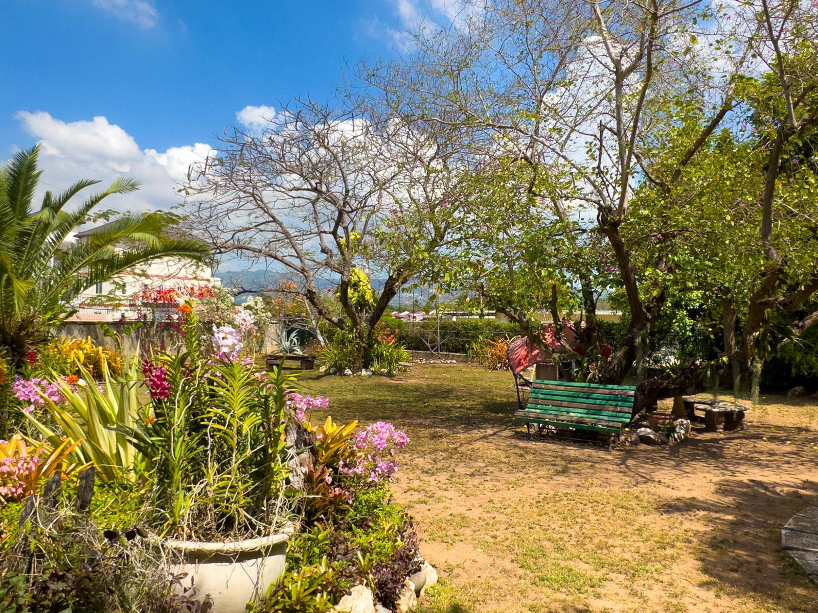 Fifth image of 17 Halifax Ave in Kingston 6, St. Andrew, Jamaica - property is For Sale