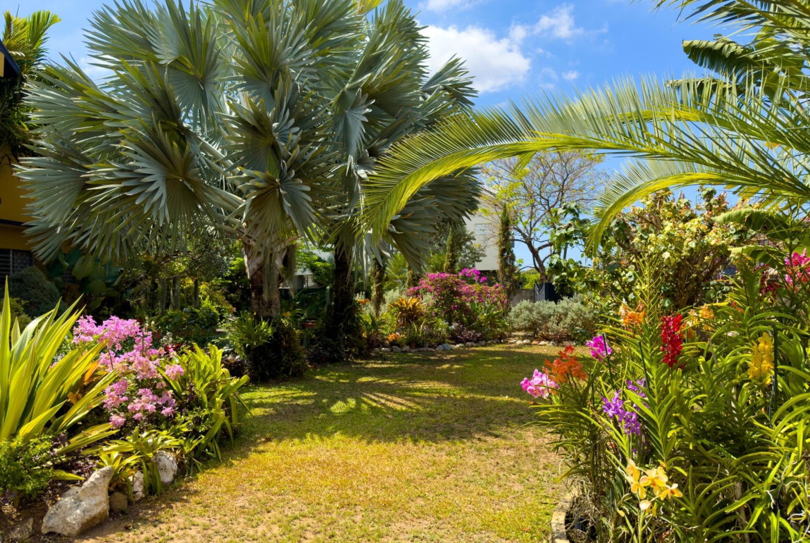 Sixth image of 17 Halifax Ave in Kingston 6, St. Andrew, Jamaica - property is For Sale