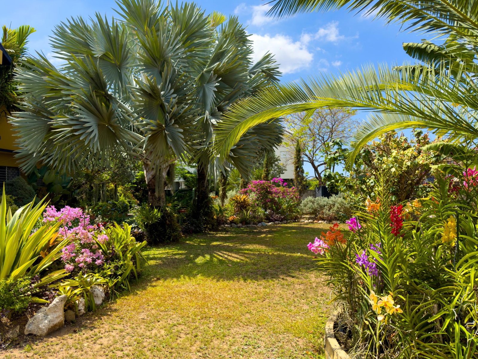 Sixth image of 17 Halifax Ave in Kingston 6, St. Andrew, Jamaica - property is For Sale