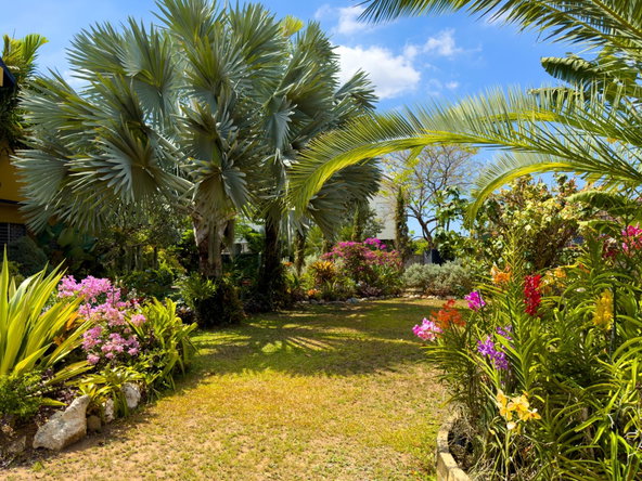 Sixth image of 17 Halifax Ave in Kingston 6, St. Andrew, Jamaica - property is For Sale