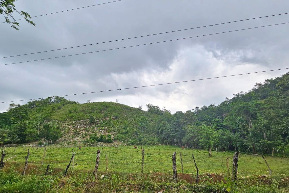Second image of Bog, Beeston Spring in Beeston Spring, Westmoreland, Jamaica - property is For Sale
