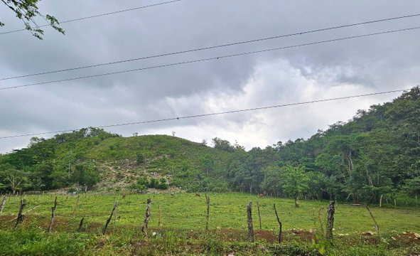 Second image of Bog, Beeston Spring in Beeston Spring, Westmoreland, Jamaica - property is For Sale
