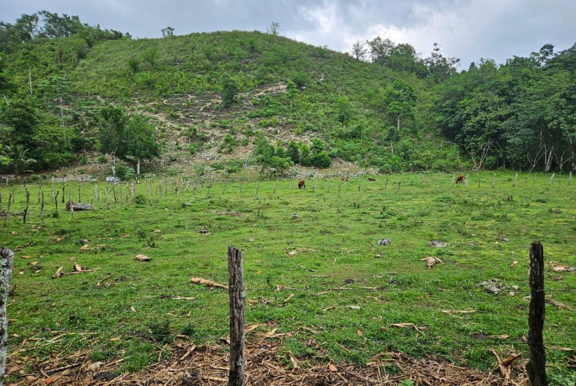 First image of Bog, Beeston Spring in Beeston Spring, Westmoreland, Jamaica - property is For Sale