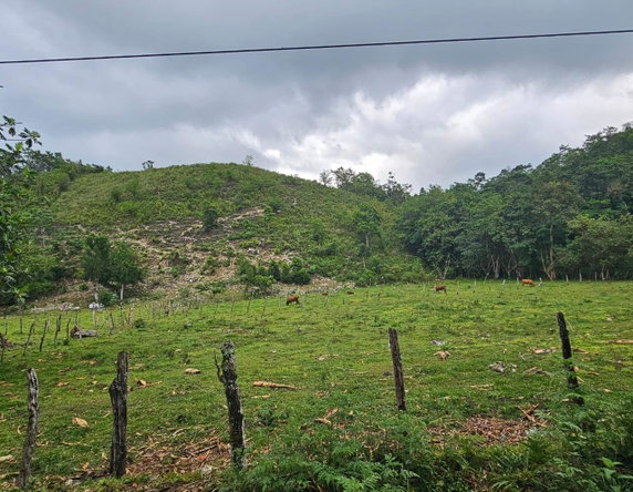Third image of Bog, Beeston Spring in Beeston Spring, Westmoreland, Jamaica - property is For Sale