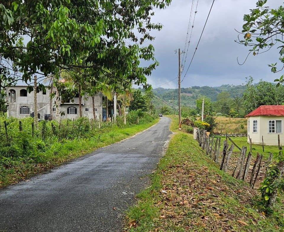 Fourth image of Bog, Beeston Spring in Beeston Spring, Westmoreland, Jamaica - property is For Sale