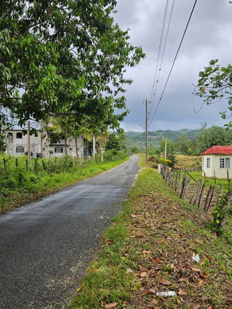Fourth image of Bog, Beeston Spring in Beeston Spring, Westmoreland, Jamaica - property is For Sale
