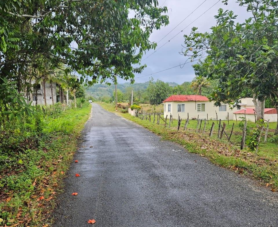 Fifth image of Bog, Beeston Spring in Beeston Spring, Westmoreland, Jamaica - property is For Sale