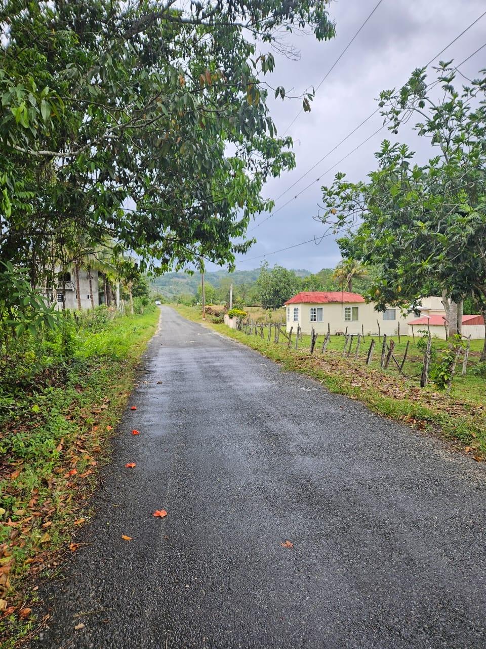 Fifth image of Bog, Beeston Spring in Beeston Spring, Westmoreland, Jamaica - property is For Sale