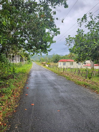 Fifth image of Bog, Beeston Spring in Beeston Spring, Westmoreland, Jamaica - property is For Sale