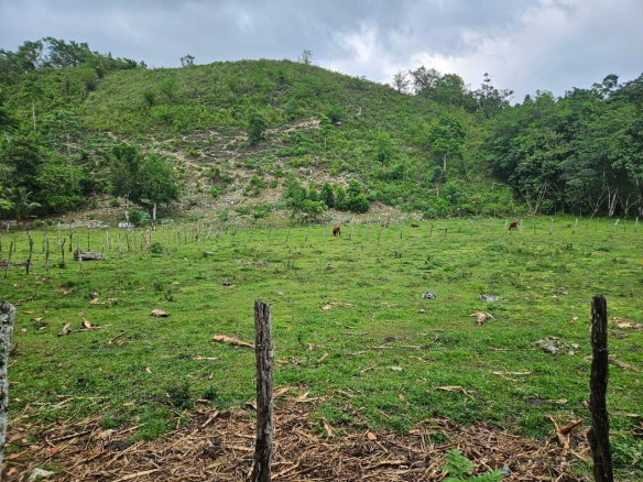 First image of Bog, Beeston Spring in Beeston Spring, Westmoreland, Jamaica - property is For Sale