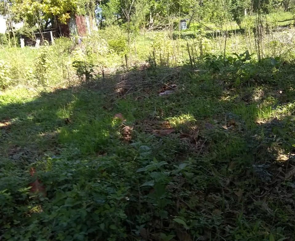Fourth image of Brompton Road in Black River, St. Elizabeth, Jamaica - property is For Sale