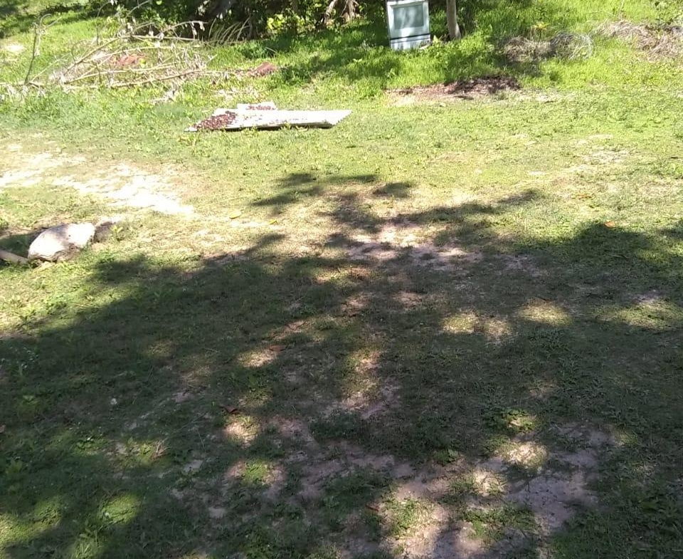 Fifth image of Brompton Road in Black River, St. Elizabeth, Jamaica - property is For Sale