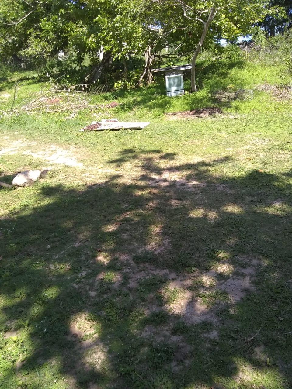 Fifth image of Brompton Road in Black River, St. Elizabeth, Jamaica - property is For Sale