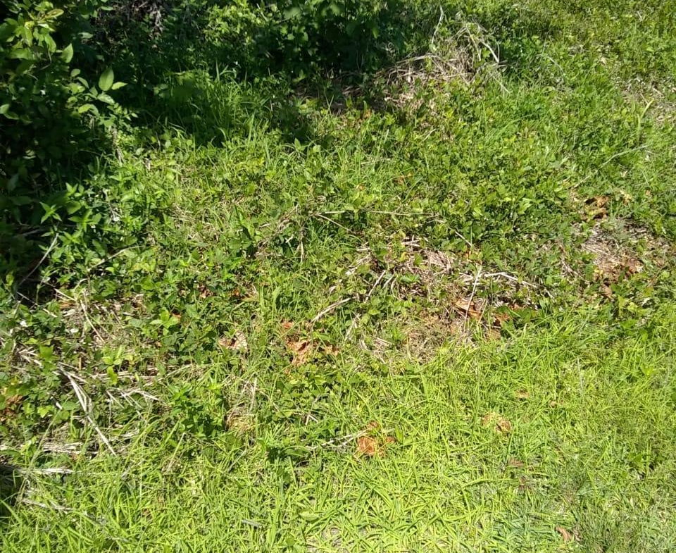 First image of Brompton Road in Black River, St. Elizabeth, Jamaica - property is For Sale