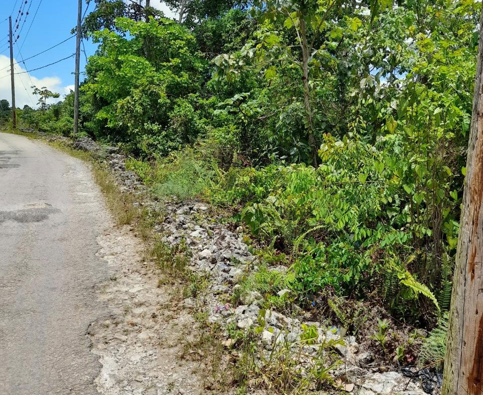 Second image of Chantilly Gravel Hill Man in Chantilly, Manchester, Jamaica - property is For Sale