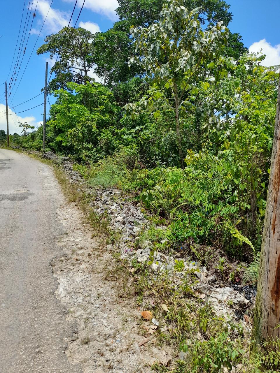 Second image of Chantilly Gravel Hill Man in Chantilly, Manchester, Jamaica - property is For Sale