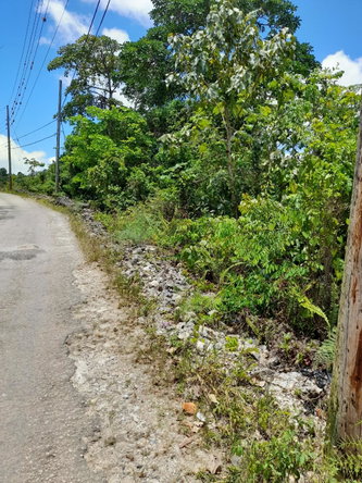 Second image of Chantilly Gravel Hill Man in Chantilly, Manchester, Jamaica - property is For Sale
