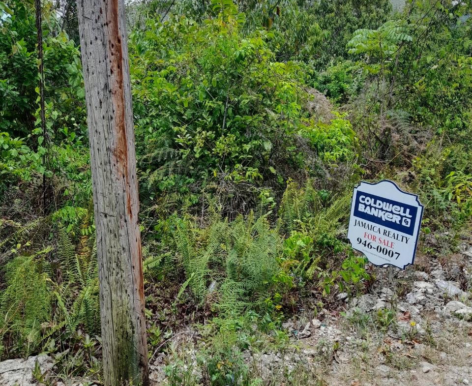 Third image of Chantilly Gravel Hill Man in Chantilly, Manchester, Jamaica - property is For Sale