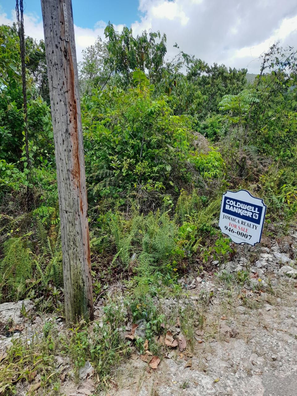 Third image of Chantilly Gravel Hill Man in Chantilly, Manchester, Jamaica - property is For Sale